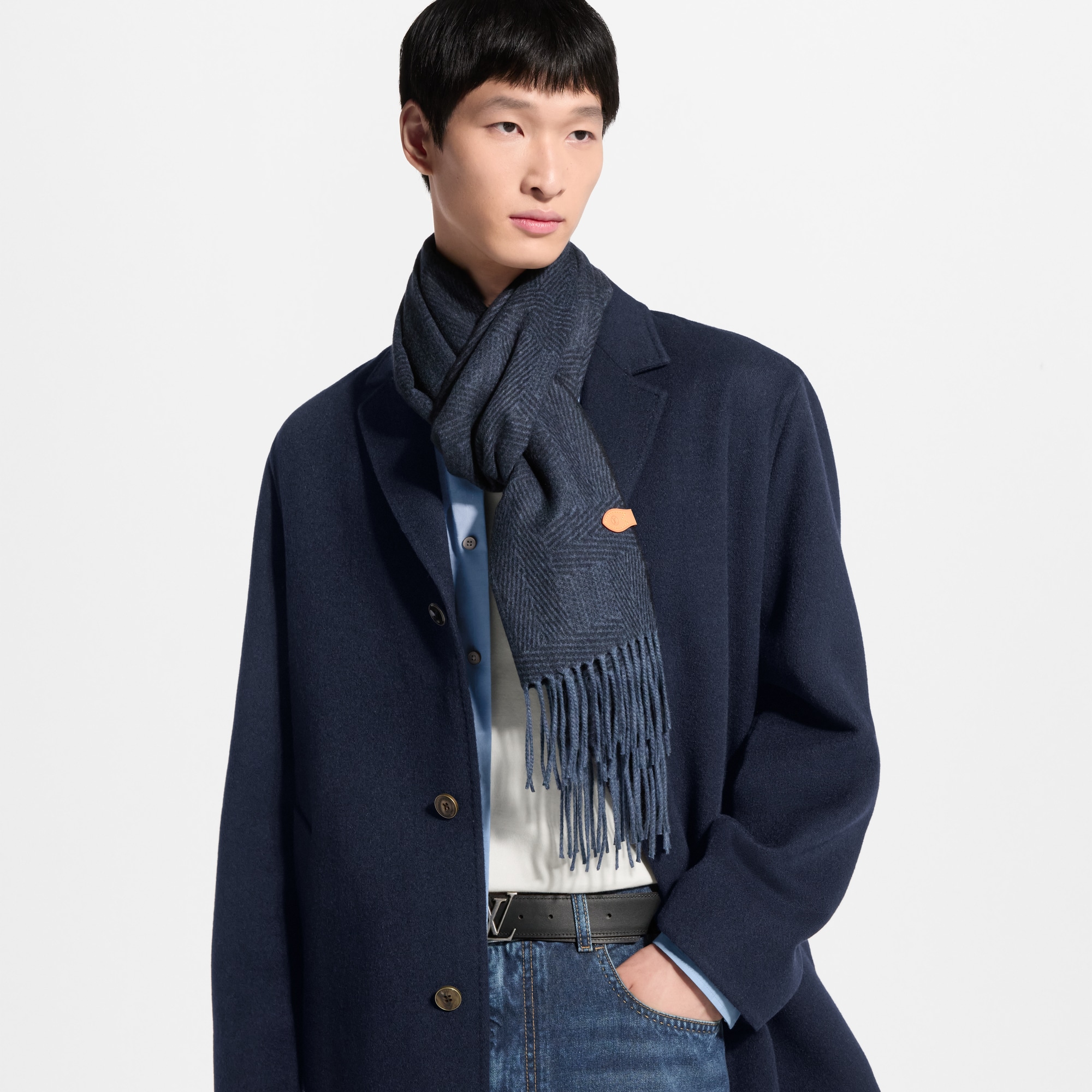 LV Malletier Scarf S00 - Men - Accessories | LOUIS VUITTON ®